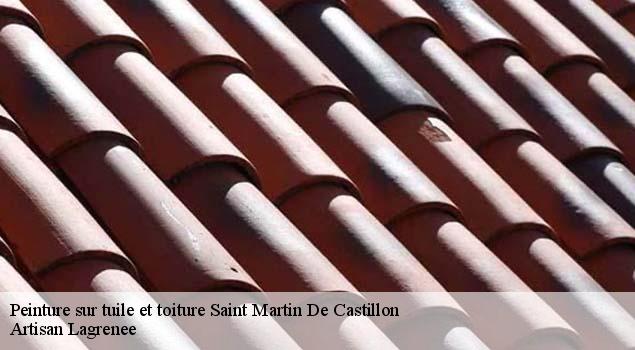 Peinture sur tuile et toiture  saint-martin-de-castillon-84750 Artisan Lagrenee