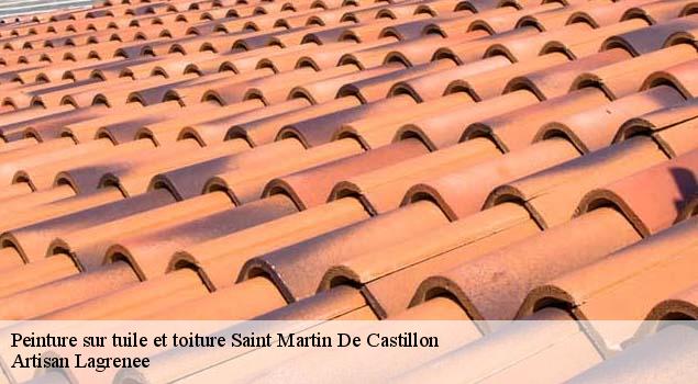 Peinture sur tuile et toiture  saint-martin-de-castillon-84750 Artisan Lagrenee