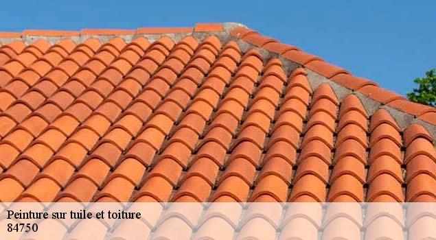 Peinture sur tuile et toiture  saint-martin-de-castillon-84750 Artisan Lagrenee