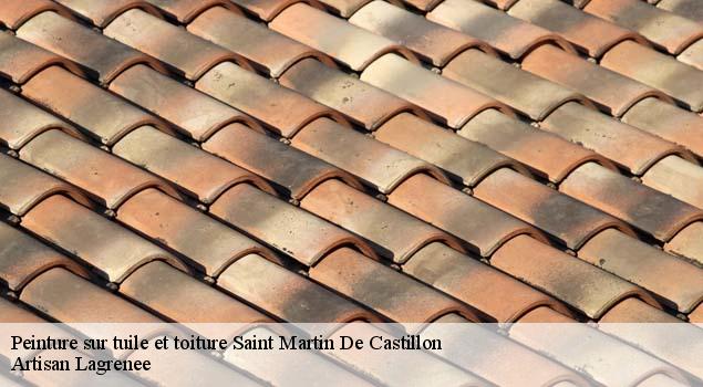 Peinture sur tuile et toiture  saint-martin-de-castillon-84750 Artisan Lagrenee