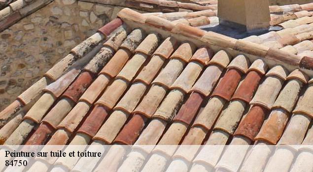 Peinture sur tuile et toiture  saint-martin-de-castillon-84750 Artisan Lagrenee