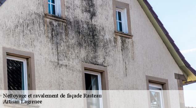 Nettoyage et ravalement de façade  rasteau-84110 Artisan Lagrenee