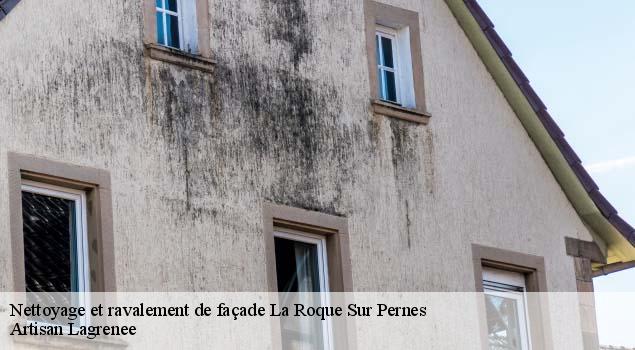 Nettoyage et ravalement de façade  la-roque-sur-pernes-84210 Artisan Lagrenee