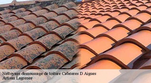 Nettoyage demoussage de toiture  cabrieres-d-aigues-84240 Artisan Lagrenee