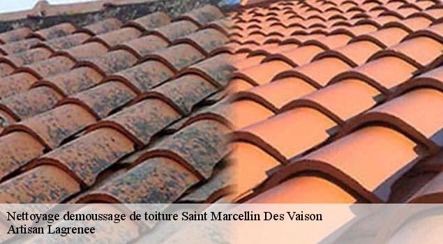 Nettoyage demoussage de toiture  saint-marcellin-des-vaison-84110 Artisan Lagrenee